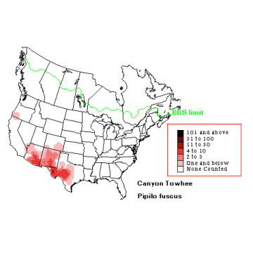 Canyon Towhee distribution map