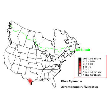 Olive Sparrow distribution map