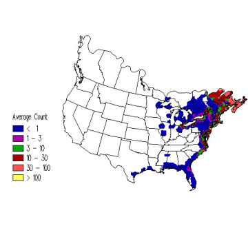Great Black-backed Gull winter distribution map