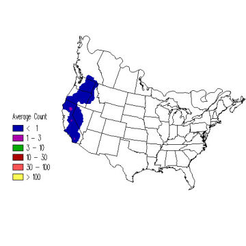 White-headed Woodpecker winter distribution map