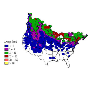 Pine Grosbeak winter distribution map