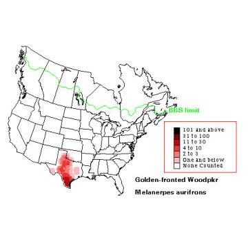 Golden-fronted Woodpecker distribution map