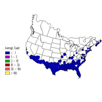 Grasshopper Sparrow winter distribution map