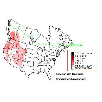 Townsend's Solitaire distribution map