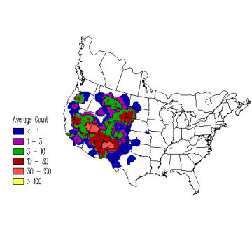 Pinyon Jay winter distribution map