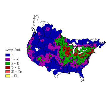 White-breasted Nuthatch winter distribution map