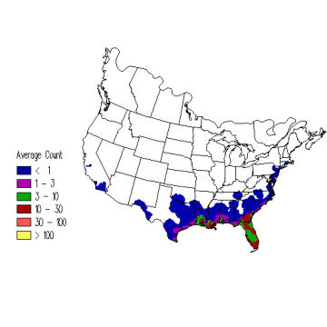 Little Blue Heron winter distribution map