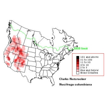 Clark's Nutcracker distribution map