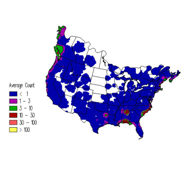 Common Loon Winter Distribution Map