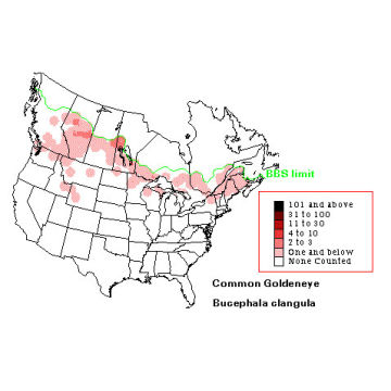 Common Goldeneye distribution map