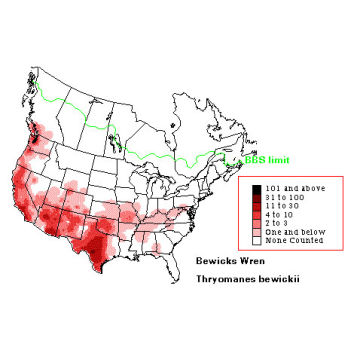 Bewick's Wren distribution map