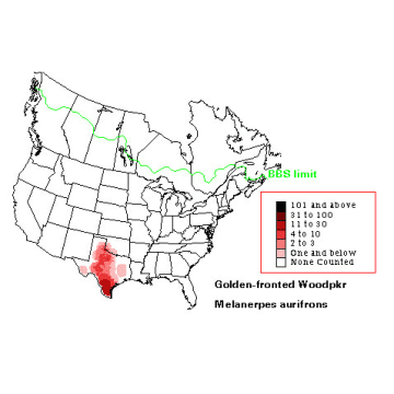 Golden-fronted Woodpecker distribution map