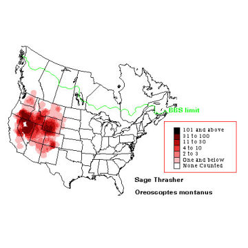 Sage Thrasher distribution map