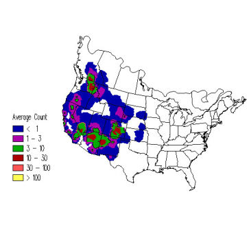 Pygmy Nuthatch winter distribution map