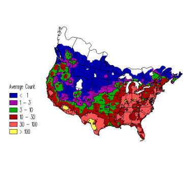 Mourning Dove winter distribution map