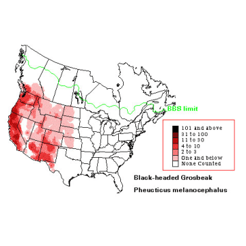 Black-headed Grosbeak distribution map