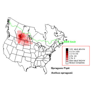 Sprague's Pipit distribution map