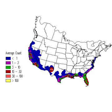 Snowy Egret winter distribution map