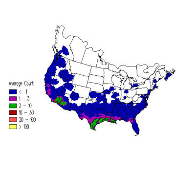 Orange-crowned Warbler winter distribution map