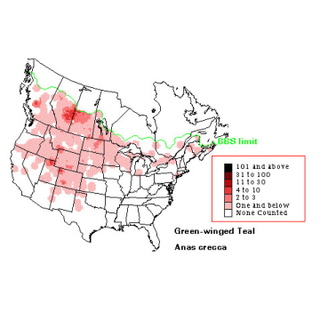 Green-winged Teal distribution map