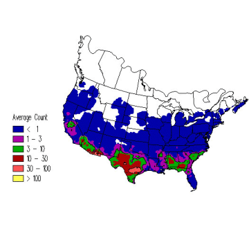 Vesper Sparrow winter distribution map