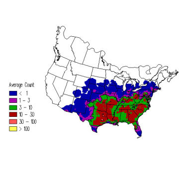 Eastern Bluebird winter distribution map