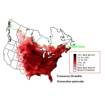 Common Grackle distribution map