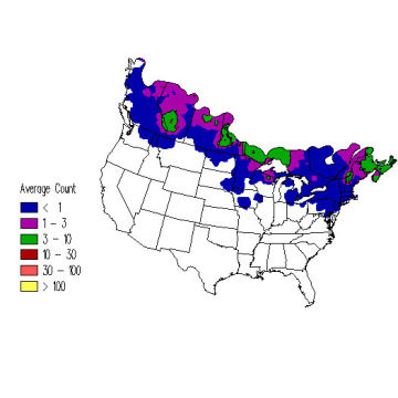 Boreal Chickadee winter distribution map