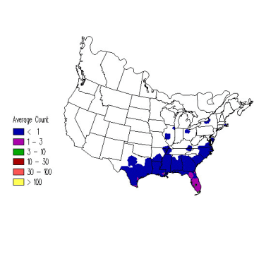 White-eyed Vireo winter distribution map
