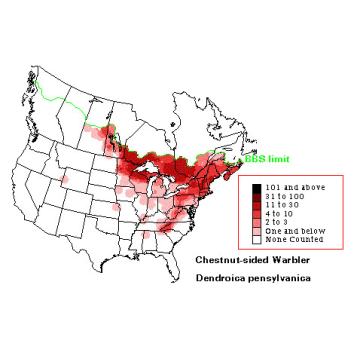 Chestnut-sided Warbler distribution map