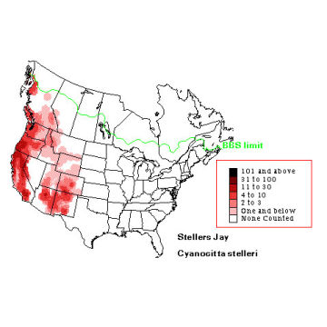 Steller's Jay distribution map