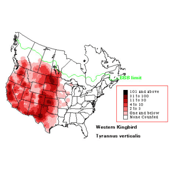 Western Kingbird distribution map