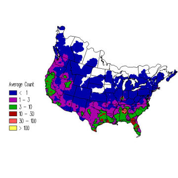 Pied-billed Grebe winter distribution map