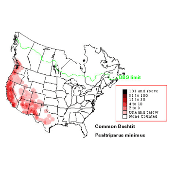 Bushtit distribution map