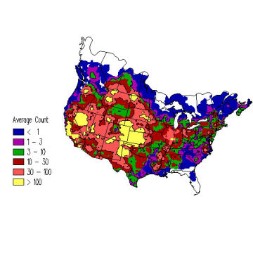 Horned Lark winter distribution map