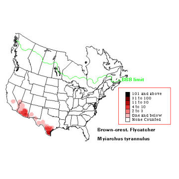 Brown-crested Flycatcher distribution map