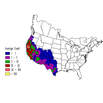 Lesser Goldfinch winter distribution map