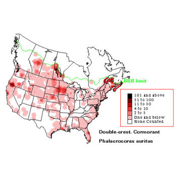 Double-crested Cormorant distribution map
