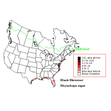Black Skimmer distribution map