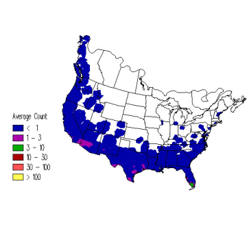 Spotted Sandpiper winter distribution map