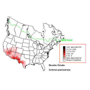 Scott's Oriole distribution map