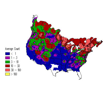 Evening Grosbeak winter distribution map