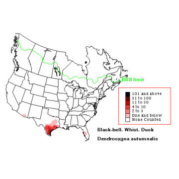 Black-bellied Whistling-Duck distribution map