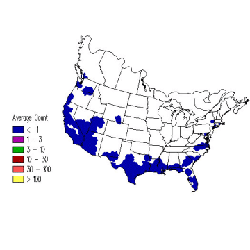 Wilson's Warbler winter distribution map