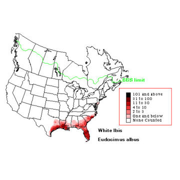 American White Ibis distribution map