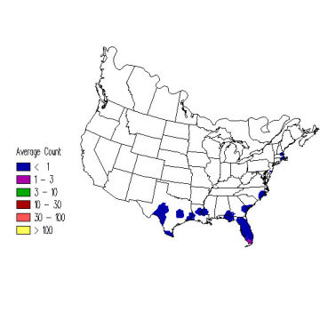 Great Crested Flycatcher winter distribution map