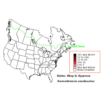 Saltmarsh Sharp-tailed Sparrow distribution map