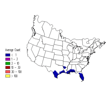 Ruby-throated Hummingbird winter distribution map