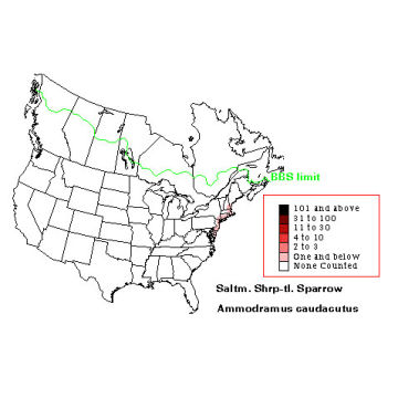 Saltmarsh Sharp-tailed Sparrow distribution map