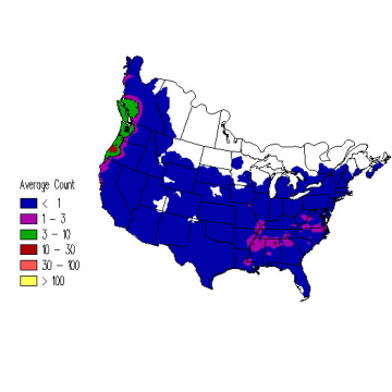 Winter Wren winter distribution map
